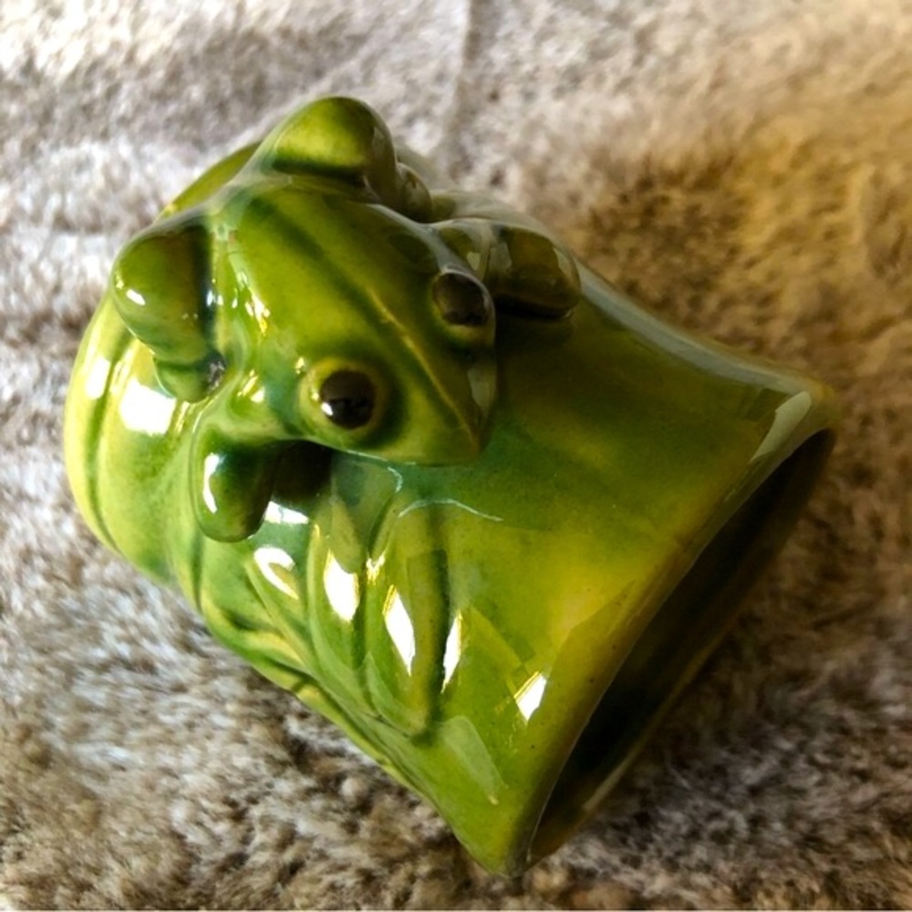 Frog climbing Bamboo Mini planter - Picture 13 of 13